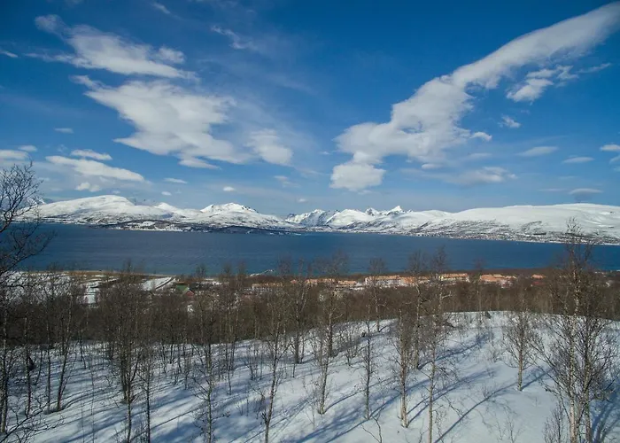 Enter Tromso - The Mountain View